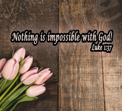 Nothing is Impossible 2 WM